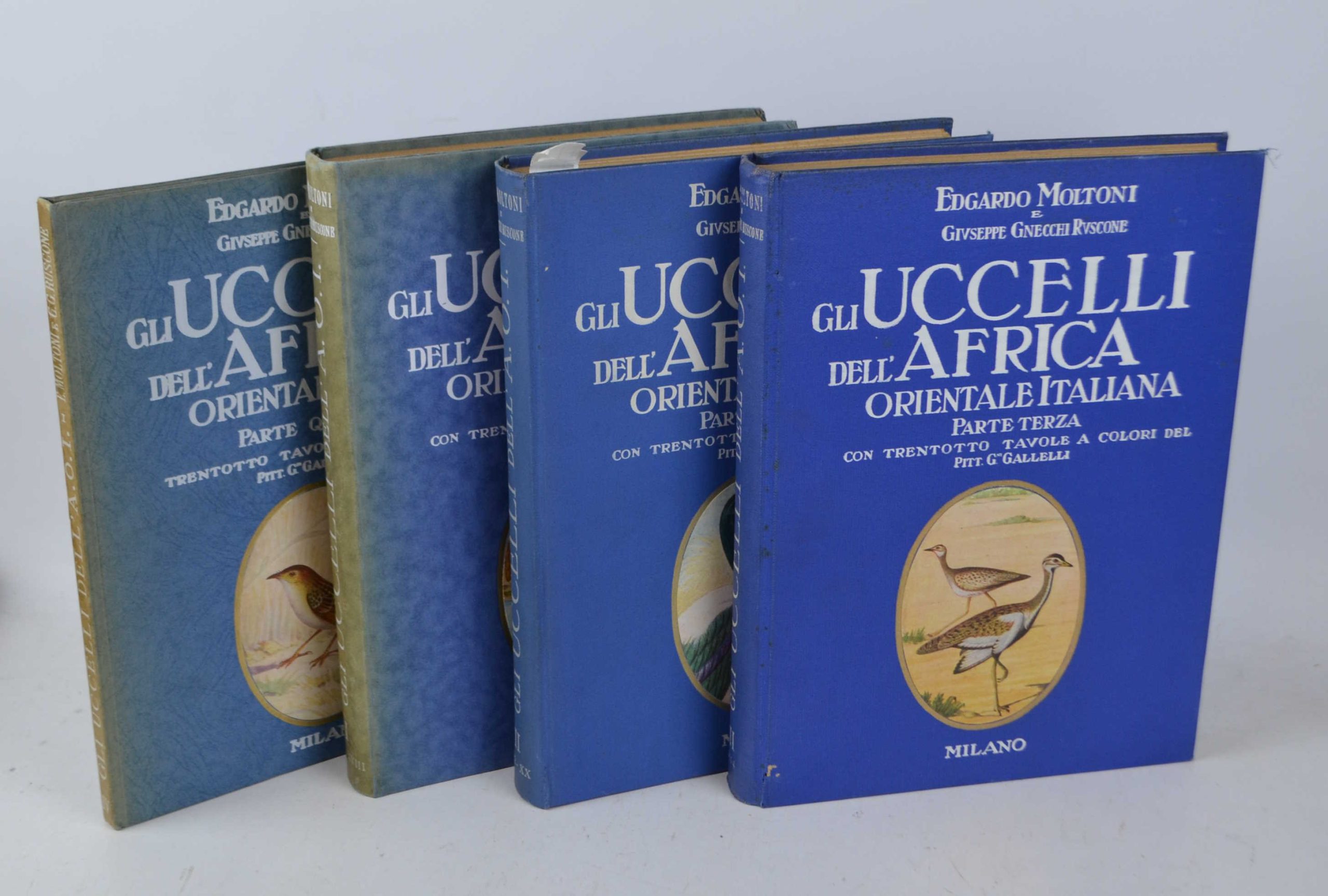 MyPuzzle Uccelli Dell'anno - Collage N. 9 - Motivo Principale: Pavoncella - Premium 1000 Pezzi Puzzle - MyPuzzle Collezione speciale di Starnberger Spiele