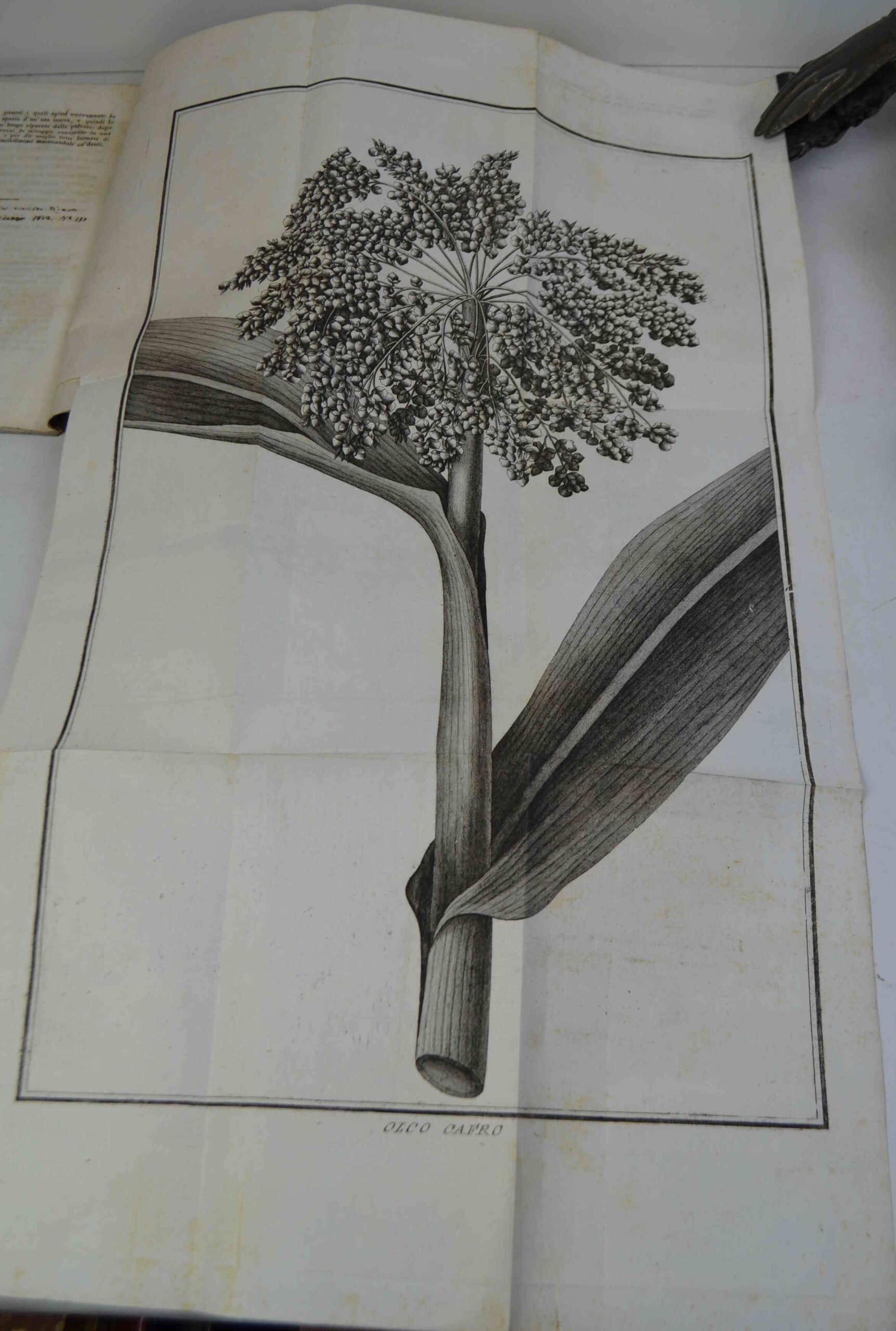 155034-1