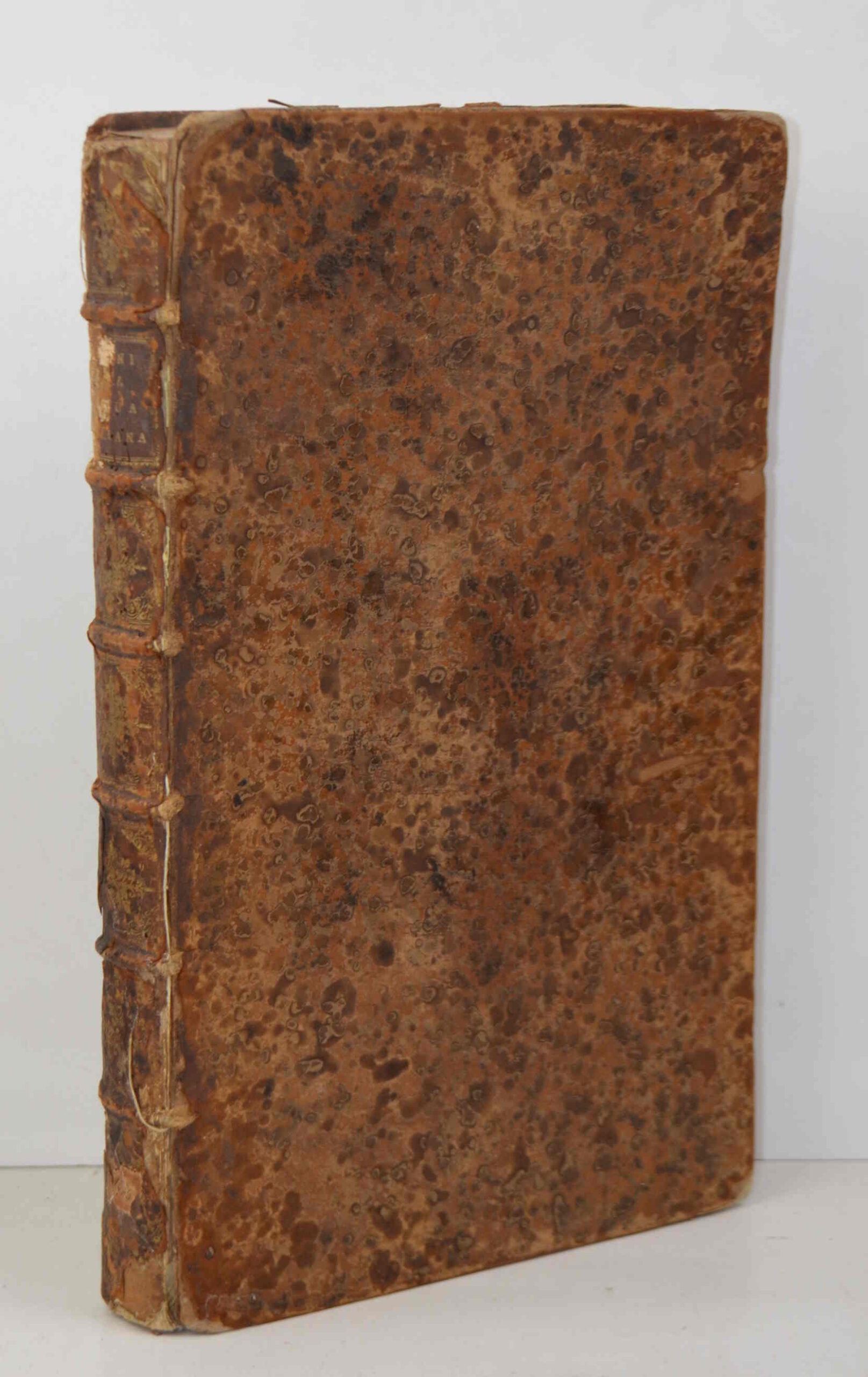 156184-1