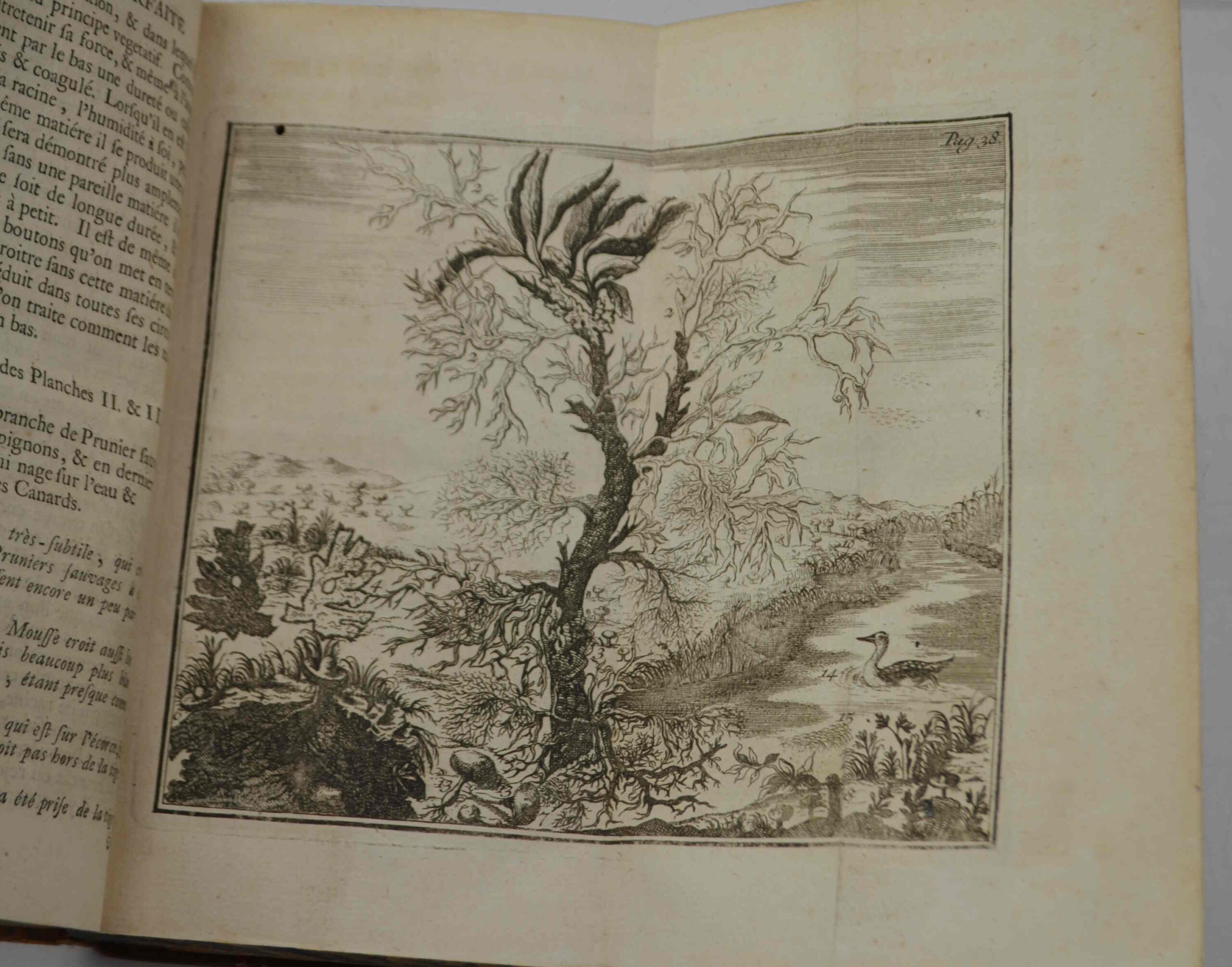 156486-1